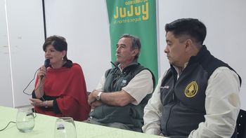 yaguarete: actualizacion del plan de conservacion