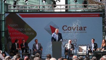 morales en coviar: jujuy ya es una provincia vitivinicola