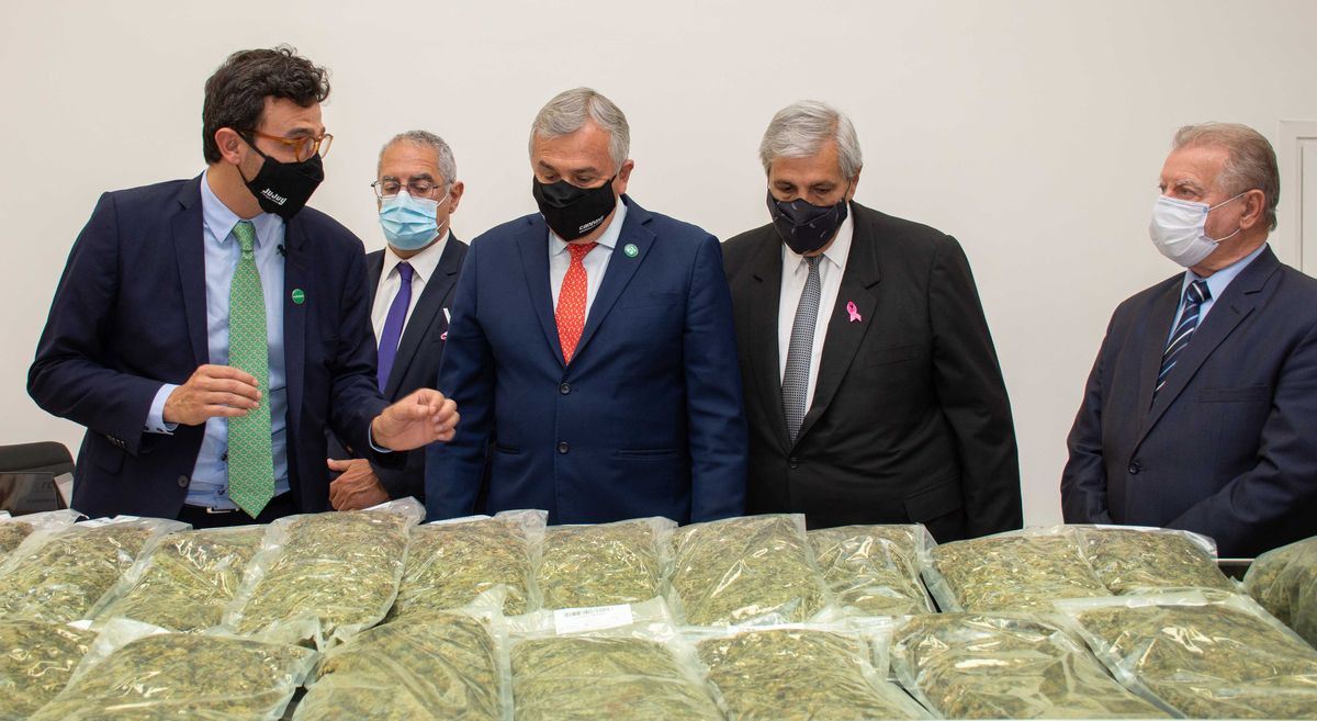 Se inauguró el Complejo de Biotecnología para producir cannabis medicinal a escala industrial en Jujuy