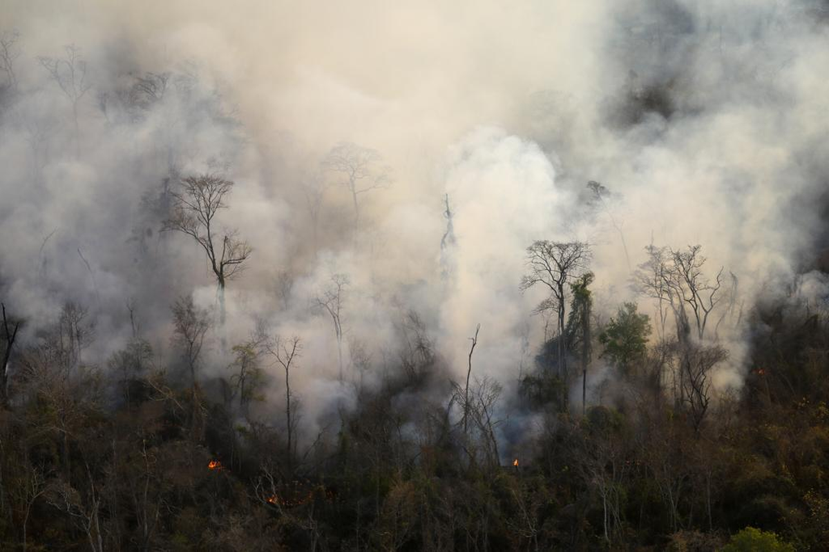 Jujuy declara emergencia ígnea y triplica las multas
