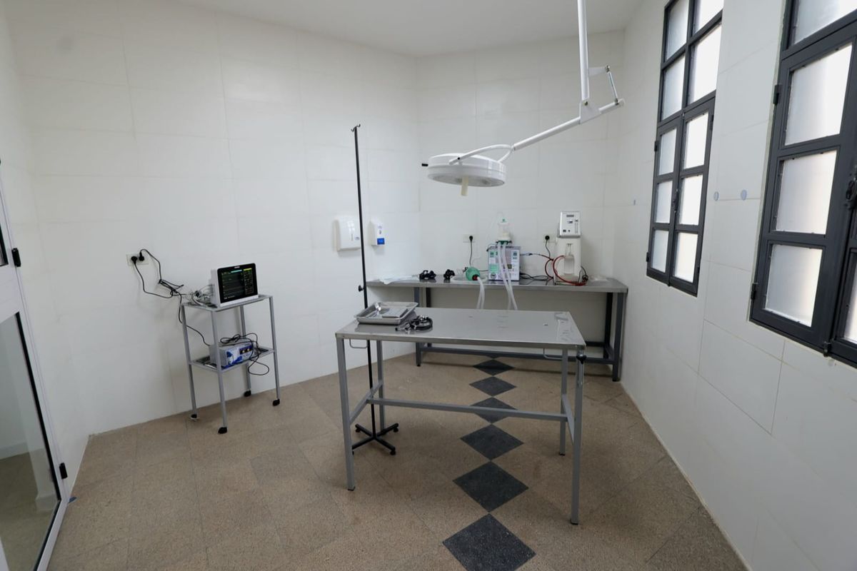 Derechos y salud animal en Alto Comedero Derechos y salud animal en Alto Comedero