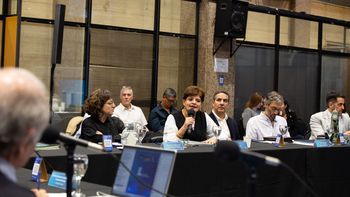 El Consejo Federal de Ambiente rindió homenaje al Papa Francisco y su legado ambiental y climático