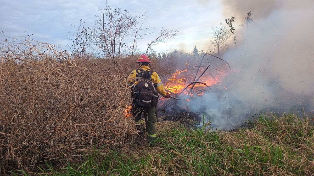 Incendios Forestales: Prevenir es responsabilidad de todos Incendios Forestales: Prevenir es responsabilidad de todos