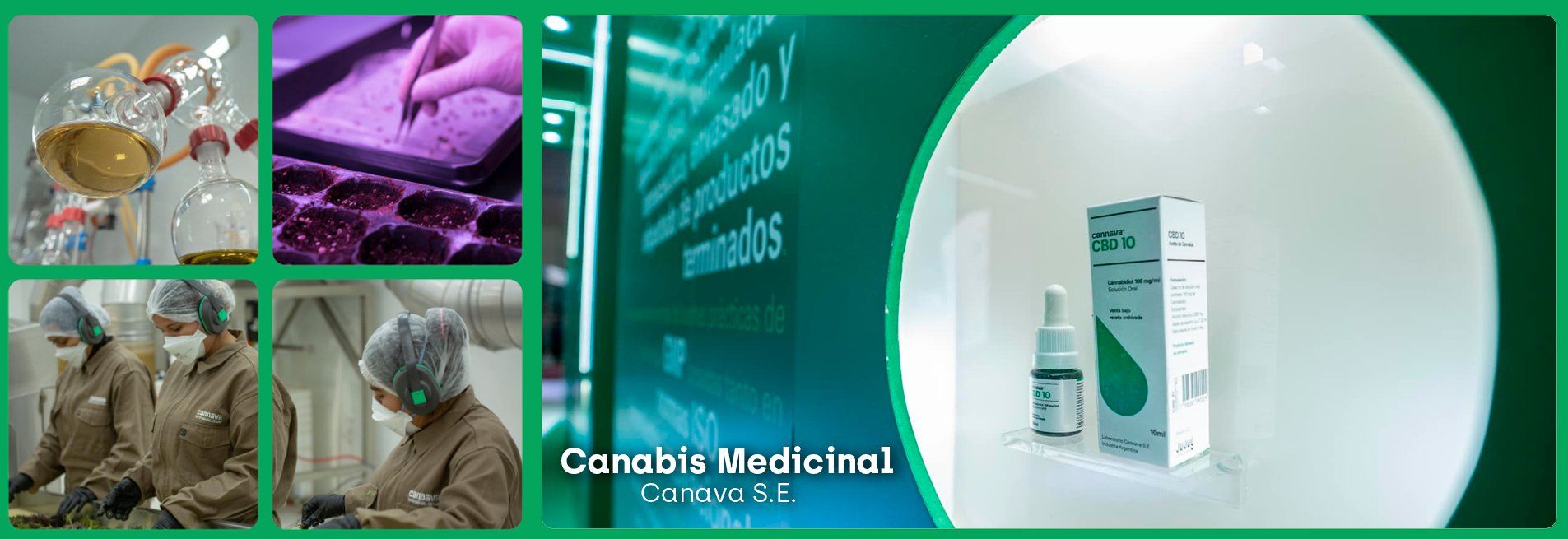 Canabis Medicinal