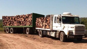 control de guias forestales que asegura la trazabilidad de la madera