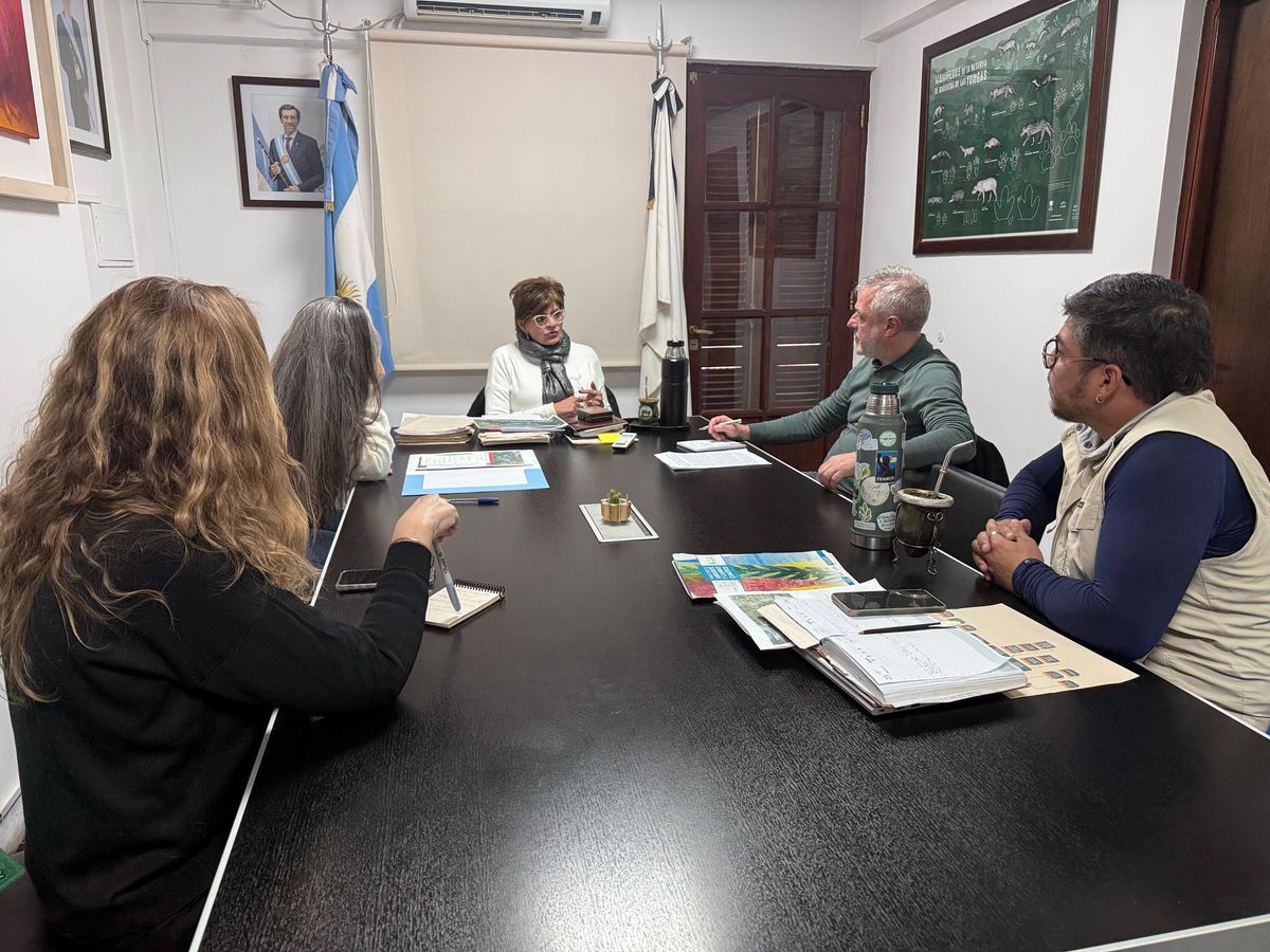 Presentación de la propuesta de Diplomatura de Actualización en Gestión del Ambiente y el Territorio Presentación de la propuesta de Diplomatura de Actualización en Gestión del Ambiente y el Territorio