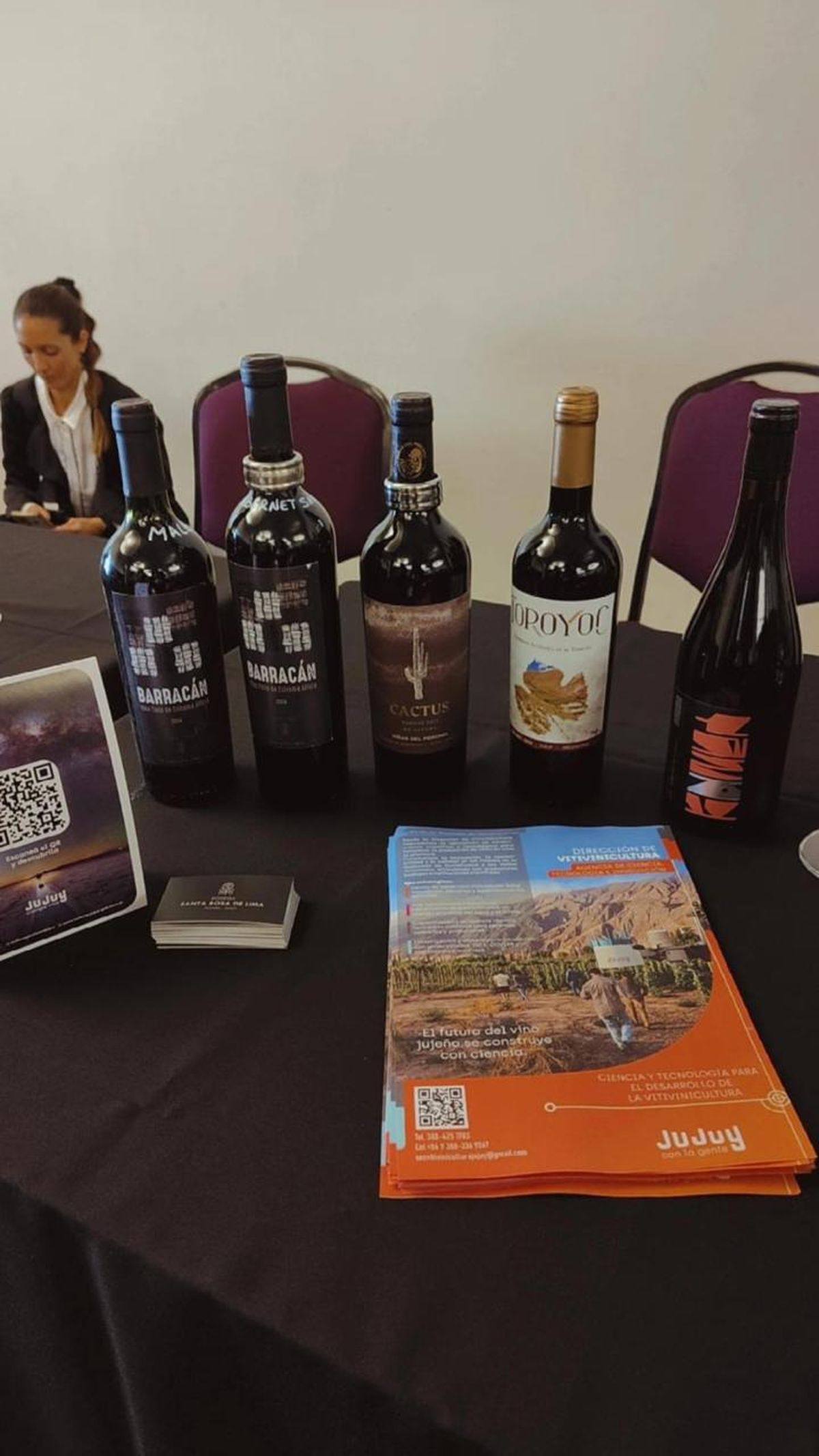Jujuy confirma su potencial vitivinícola en FeriAAS 2025 y sorprende a especialistas con un Tannat de altura