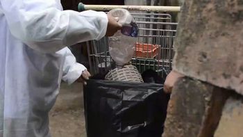 dengue: se mantiene la vigilancia epidemiologica en toda la provincia