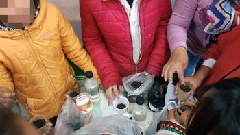 taller de huertas agroecologicas en la escuela nº 436