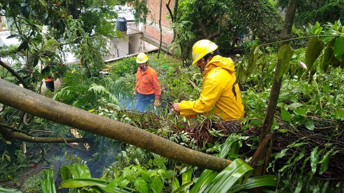 Se normaliza la situación en la Quebrada tras un fuerte temporal