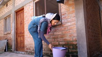 dengue: con sintomas es clave la consulta inmediata