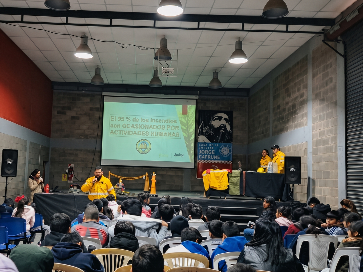 Dirección de Incendios de Vegetación y Emergencias Ambientales Dirección de Incendios de Vegetación y Emergencias Ambientales