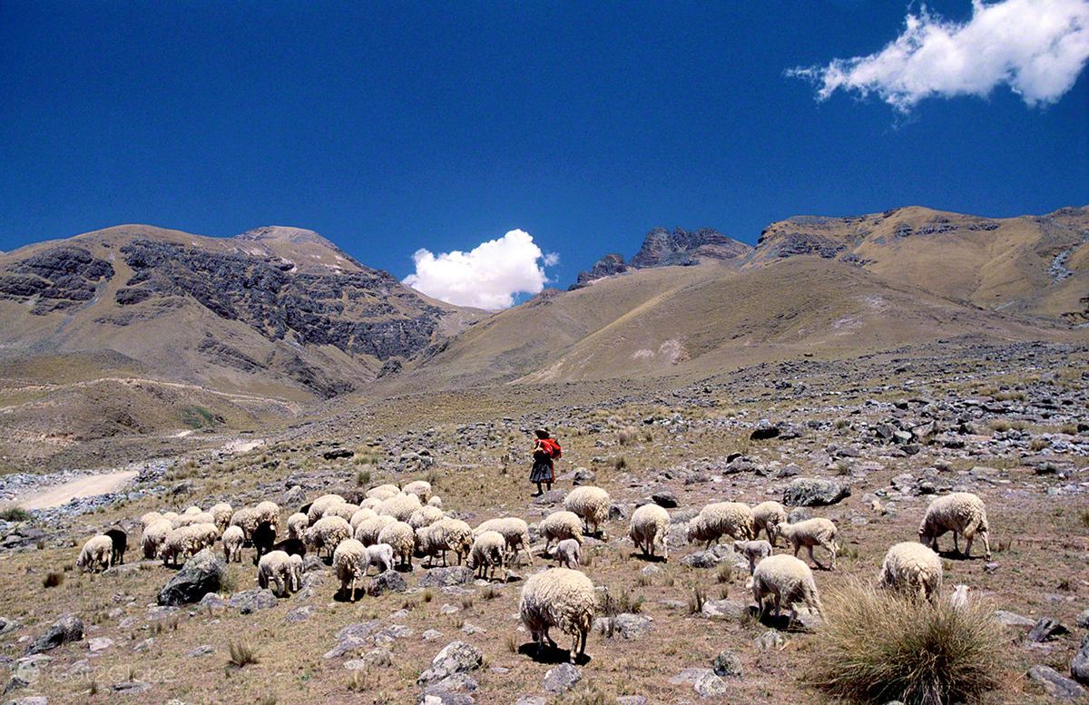 Convocatoria a productores de las cuatro regiones.