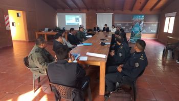 lucha contra la caza furtiva de vicunas en la puna: el gobierno activa acciones con la justicia y las fuerzas de seguridad