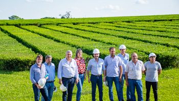 Morales reivindicó la cultura del trabajo y el esfuerzo junto a productores de té