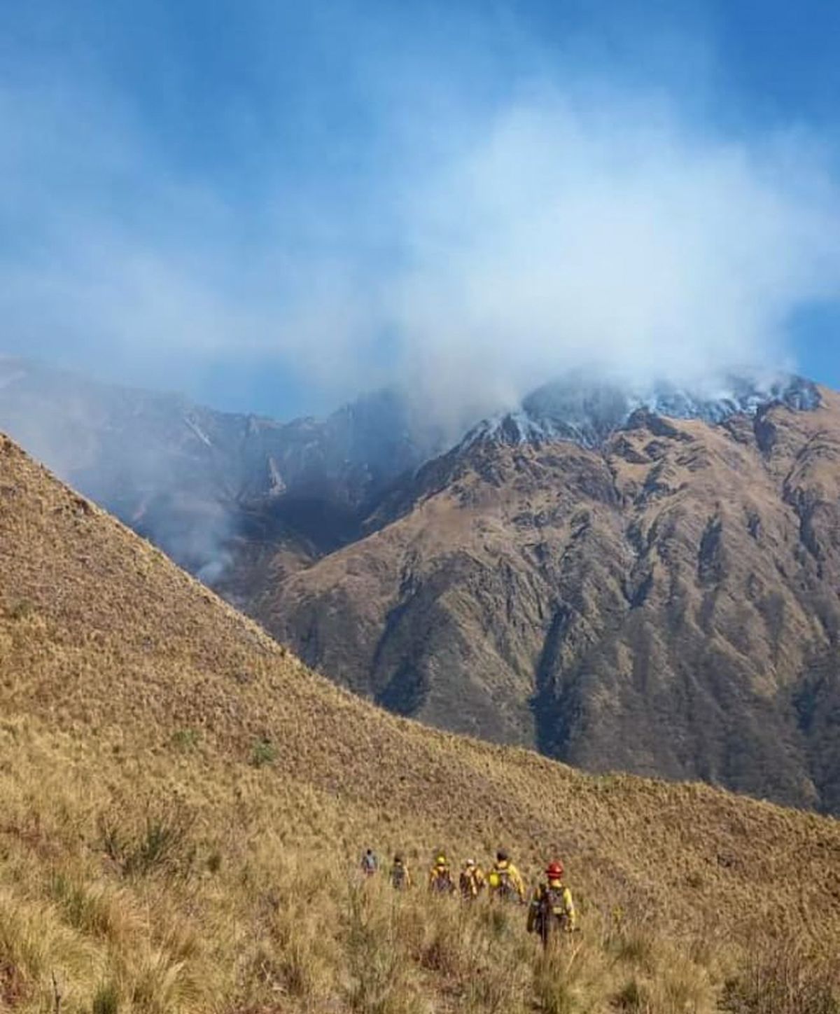 Brigadistas del Ministerio de Ambiente controlaron el incendio forestal en el Cerro Azul
