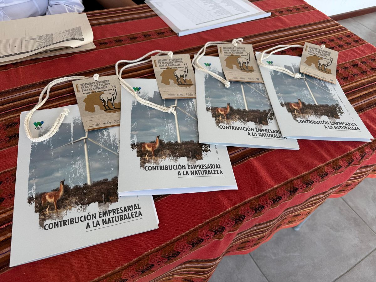 Jujuy realizó un taller de Desarrollo Económico positivo para la Naturaleza Jujuy realizó un taller de Desarrollo Económico positivo para la Naturaleza