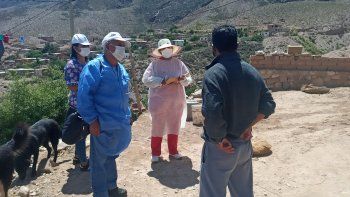 Fuerte trabajo de rastrillaje en Humahuaca