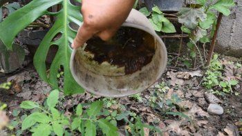 se refuerza el trabajo intersectorial frente al dengue
