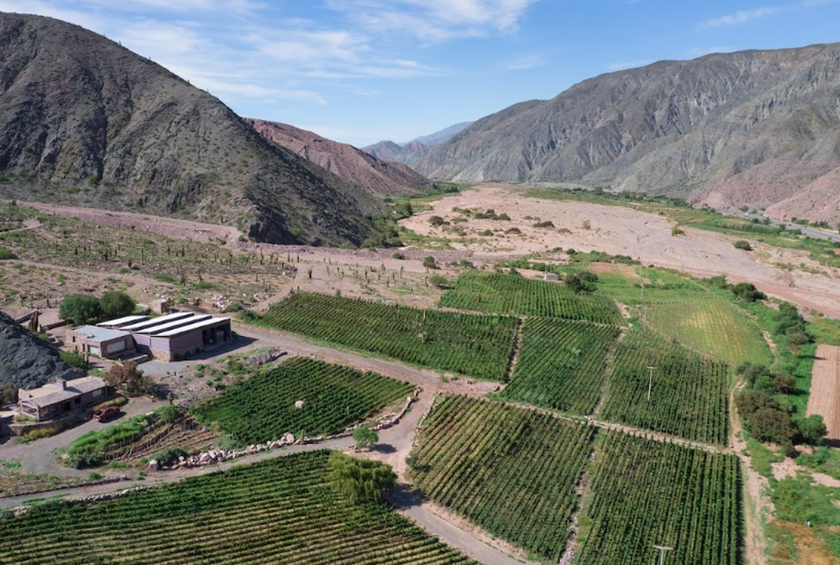 jujuy