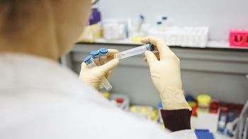 Jujuy mantiene vigilancia epidemiológica activa por hantavirus y descarta situación de brote