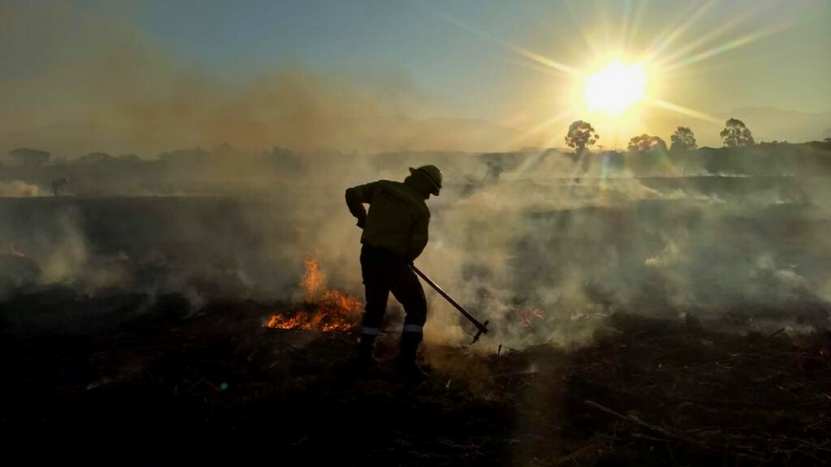 Brigadista de incendios forestales: lanzan inscripción para la Diplomatura