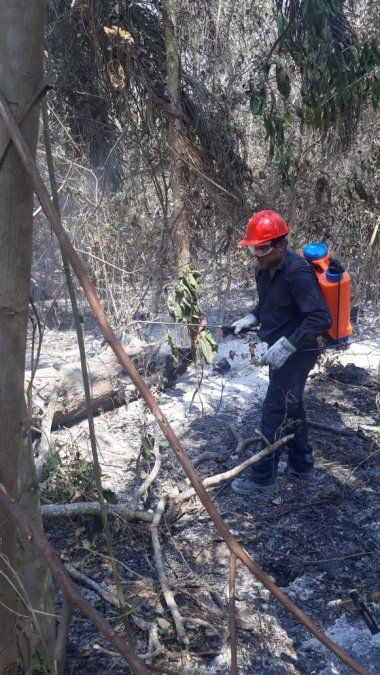 Bomberos jujeños continúan luchando contra los incendios en Bolivia
