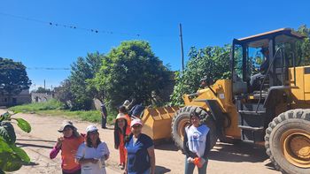 Prevenir y actuar a tiempo, las medidas más efectivas para evitar chikungunya