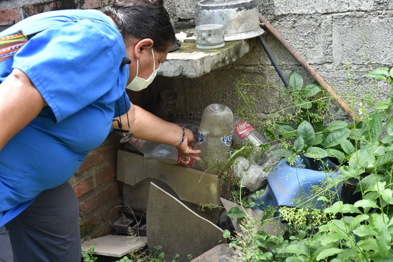 a la fecha jujuy no registra casos confirmados de dengue