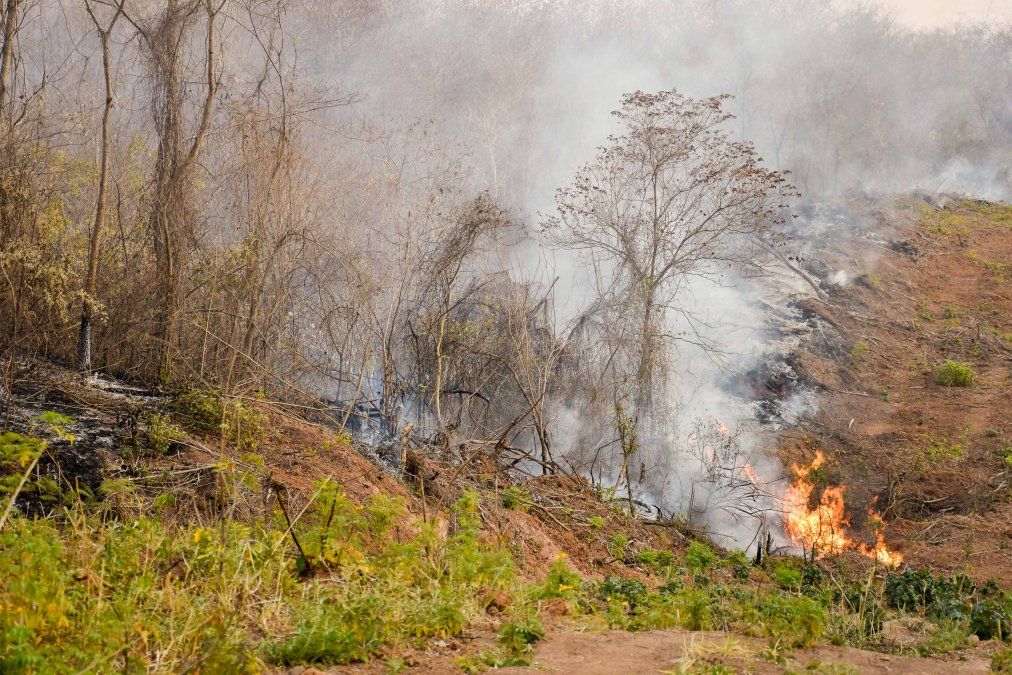 Incendios de Vegetación en Salta: Jujuy asiste y refuerza tareas preventivas sanitarias y en terreno
