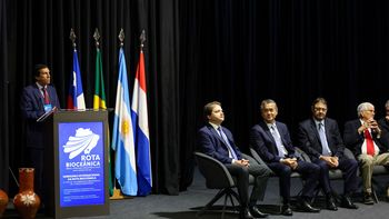 En Brasil
