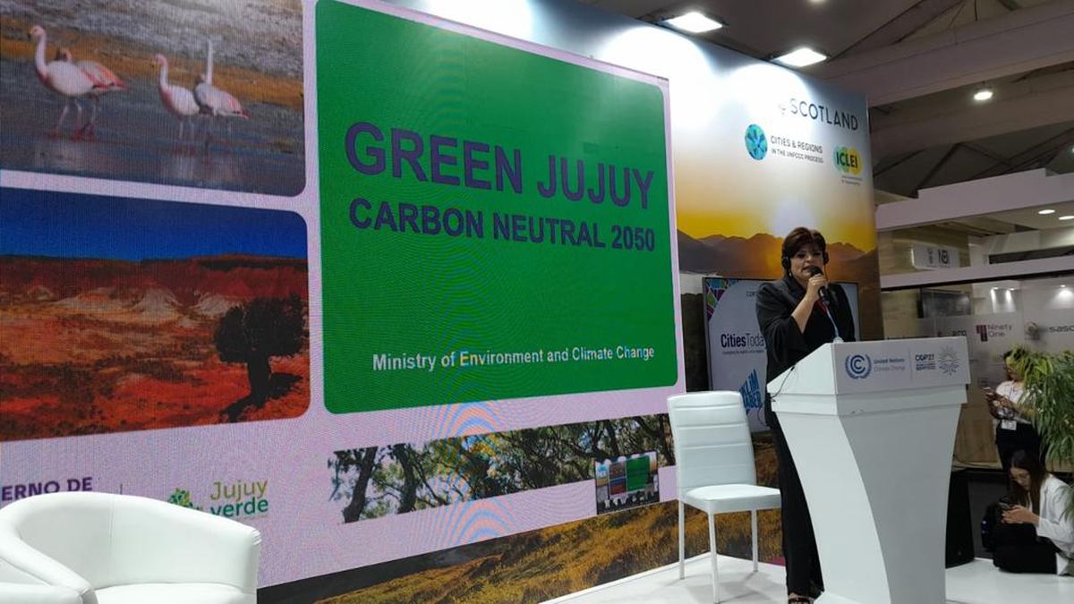 COP 27: "el desafío ahora es que se efectivice el fondo para zonas afectadas por el cambio climático"