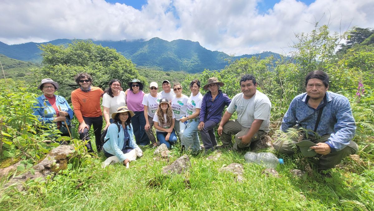 Plantación de especies nativas para compensar la huella de carbono de la PreCOP29