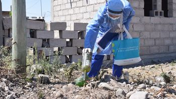 la temporada continua sin casos de dengue