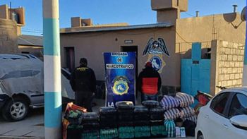 brigada de narcotrafico secuestro mas de 300 kilogramos de hoja de coca