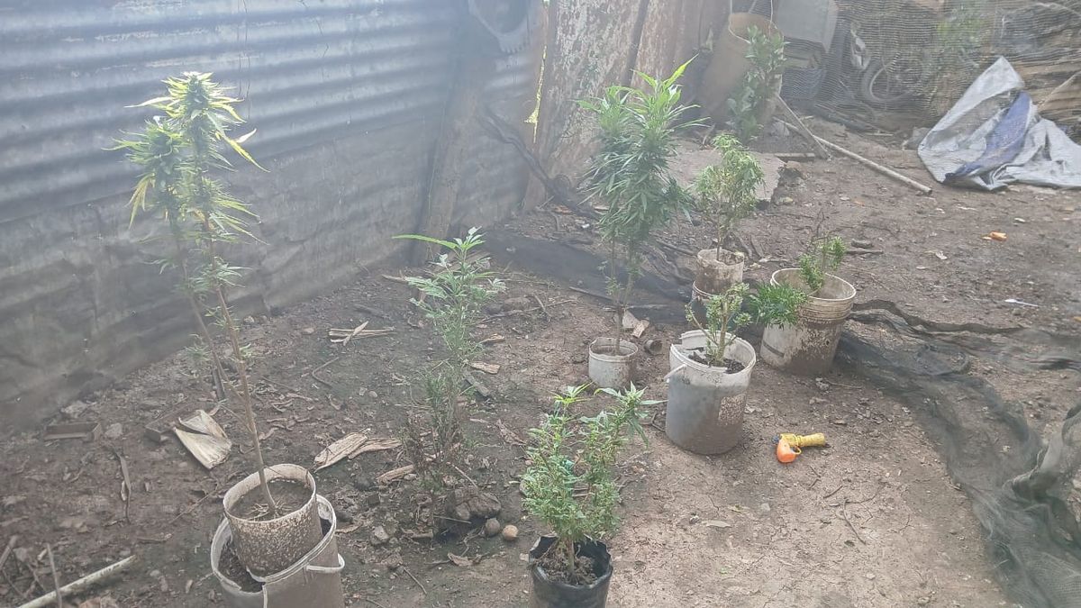 Policía y Fiscalía reafirman su compromiso contra el narcomenudeo