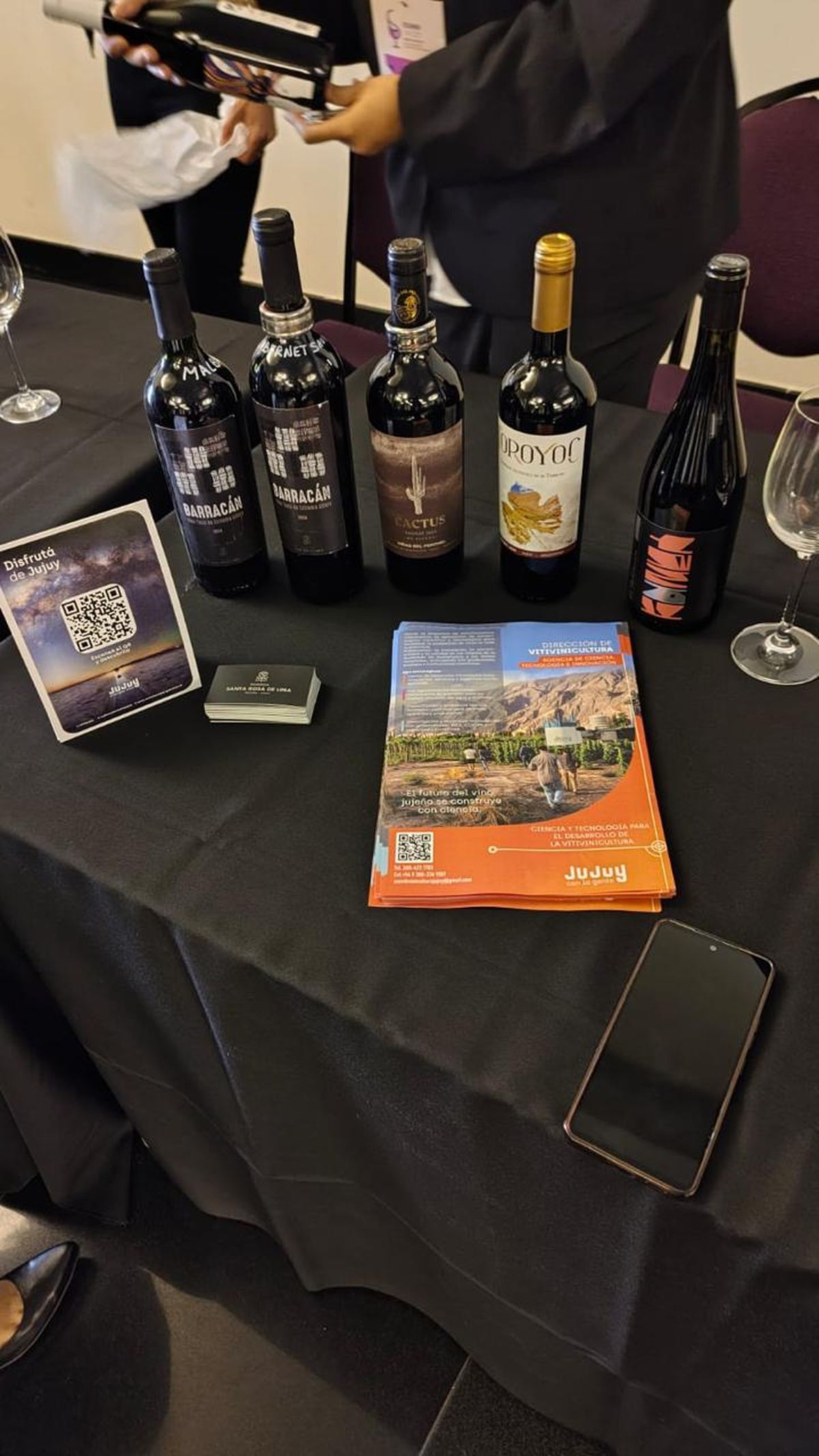 Jujuy confirma su potencial vitivinícola en FeriAAS 2025 y sorprende a especialistas con un Tannat de altura