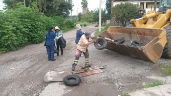 Salud continúa con jornadas de descacharrado para evitar dengue y chikungunya