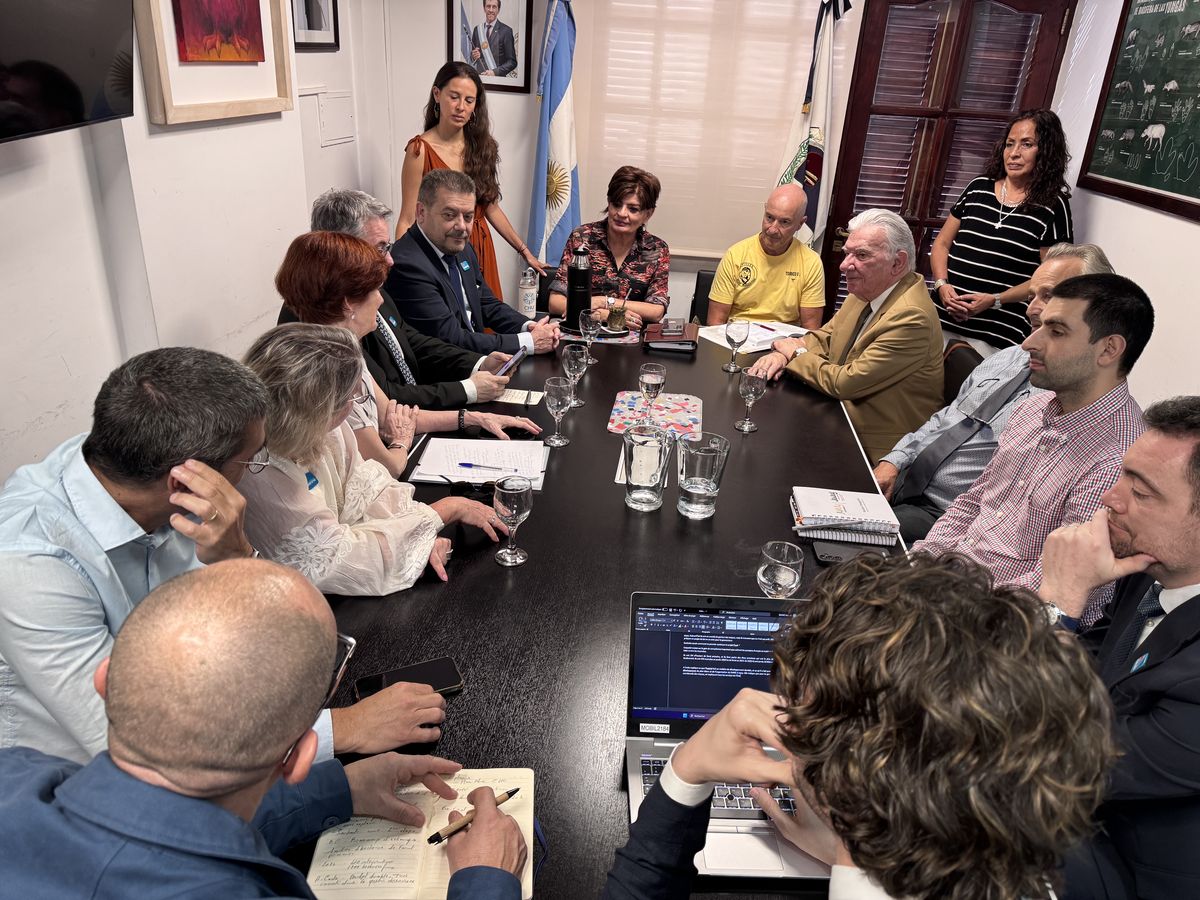 Ambiente. Cooperación internacional para la gestión de emergencias y la prevención de incendios forestales