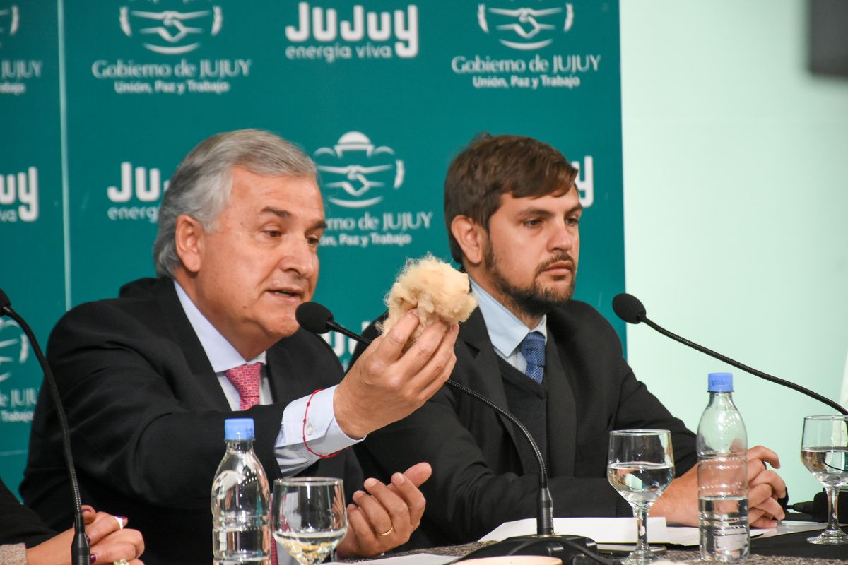 El Gobernador Morales despachó el primer embarque de fibra de vicuña a Italia