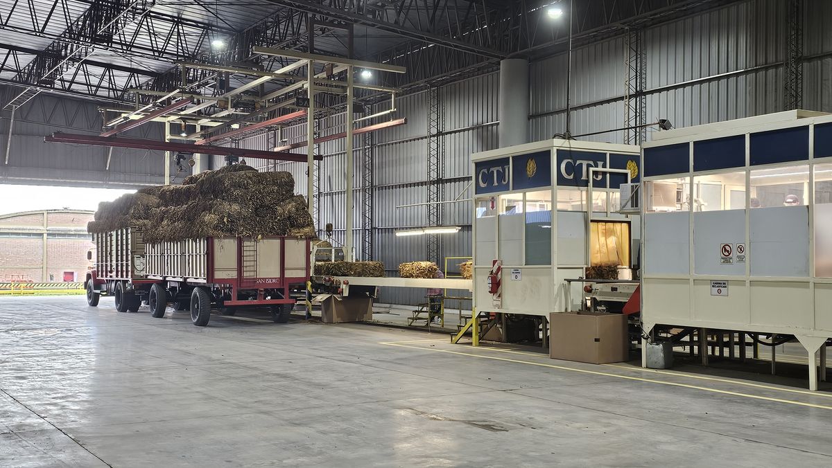 Jujuy marca un hito en la campa&ntilde;a tabacalera: todo el tabaco trazable se acopia y procesa dentro de la provincia