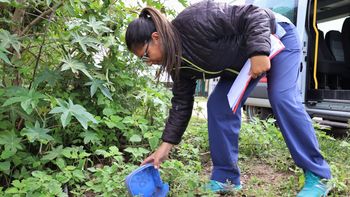 jujuy continua sin nuevos casos de dengue