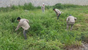 Programa Potenciar Trabajo, limpieza y mantenimiento de espacios públicos en barrios de San Pedro de Jujuy