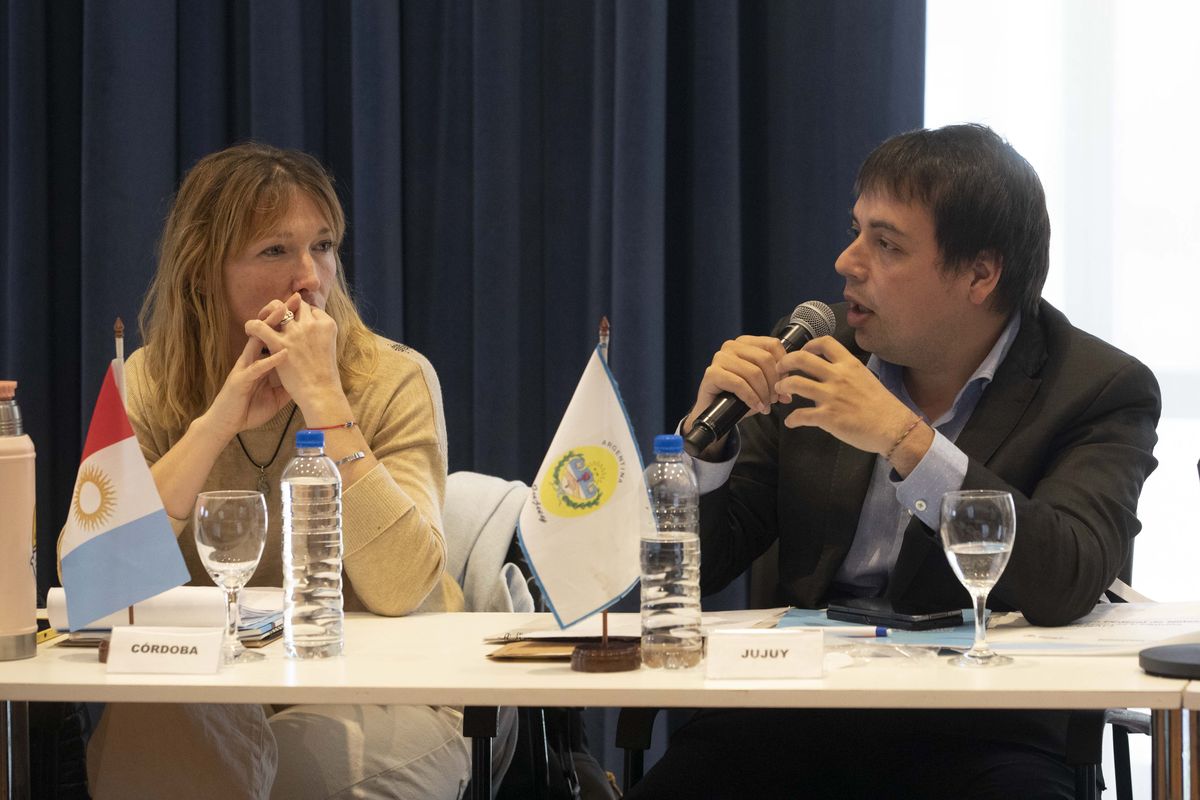 Jujuy participó del Consejo Federal de Niñez, Adolescencia y Familia