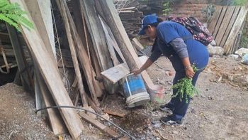 Salud y municipios despliegan operativos en conjunto para prevenir casos de chikungunya