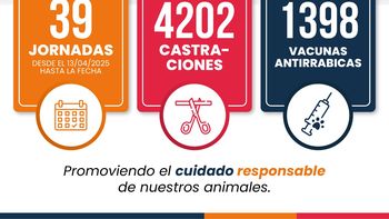 conciencia animal realizo desde abril mas de 4 mil castraciones