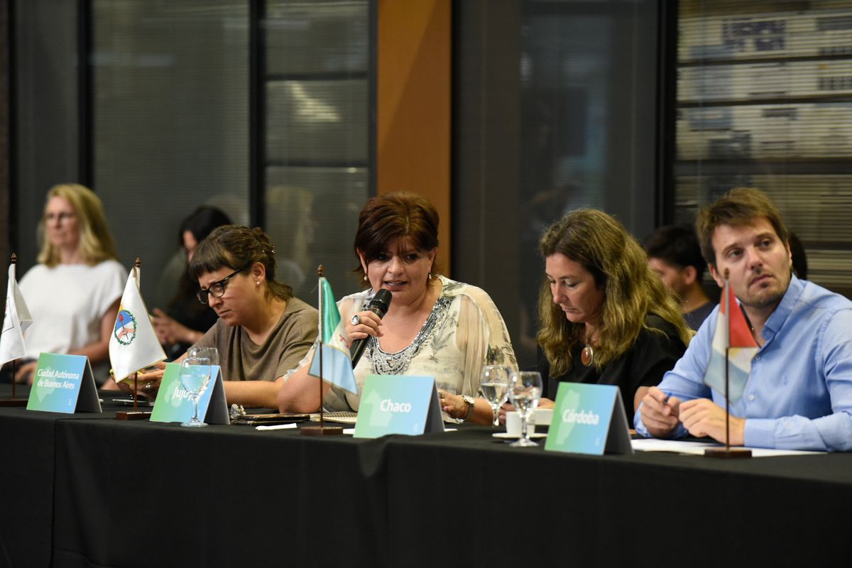 Consejo Federal de Ambiente nuevo capítulo del debate sobre los fondos de Bosques Nativos
