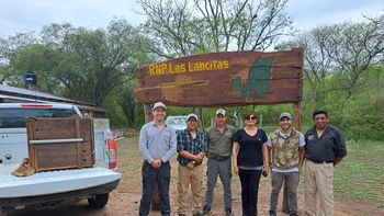 ejemplares de fauna silvestre regresaron a su habitat natural