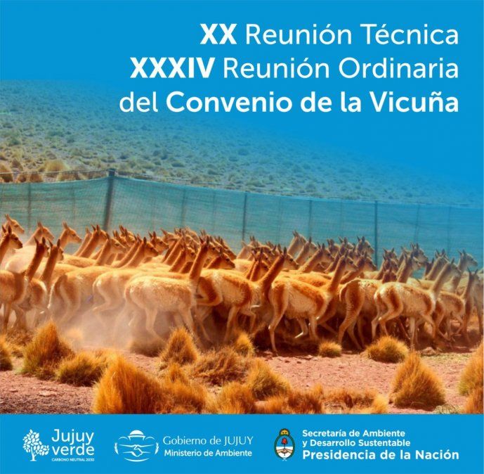 XX Reunión Técnica y XXXIV Reunión Ordinaria del Convenio de la Vicuña