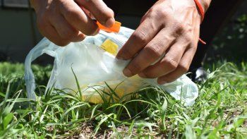 Salud confirma el primer caso de Chikungunya y refuerza el monitoreo epidemiológico en Aguas Calientes